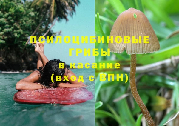 соль ск Абинск