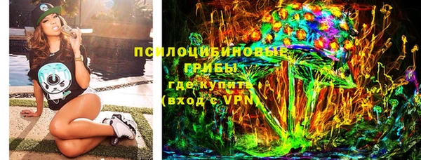 гидропоника Абаза