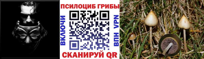 дарк нет официальный сайт  Невельск  МЕГА ONION  Псилоцибиновые грибы Cubensis  продажа наркотиков 